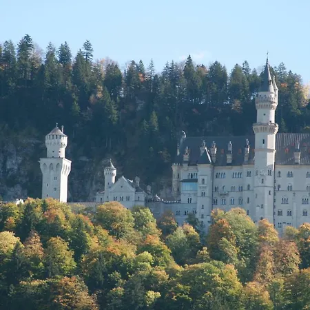 Farm stay Haflingerhof Appenstein Pinswang