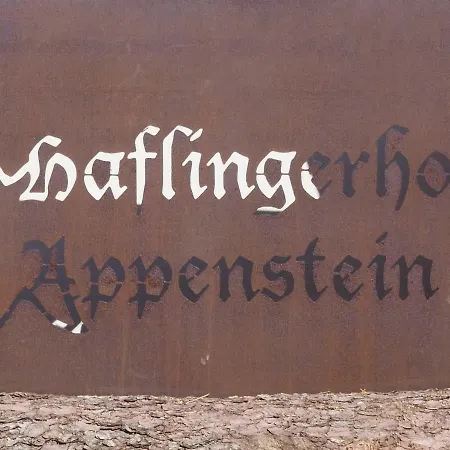 Haflingerhof Appenstein Farm stay *