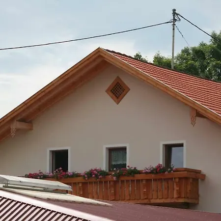 Farma Haflingerhof Appenstein Pinswang