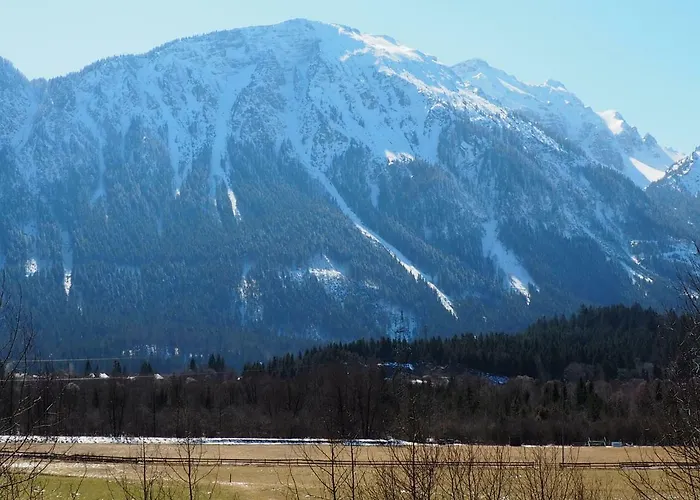 Haflingerhof Appenstein * Pinswang